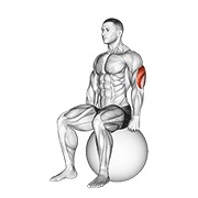 Exercise ball sentado triceps stretch
