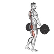 Single leg peso muerto con barra