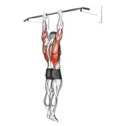 Shoulder grip dominada