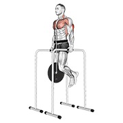 Con lastre triceps fondo on high parallel bars