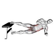 Side plancha hip adduction