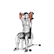 Dumbbells sentado triceps extensión