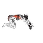Roller back stretch