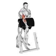 De pie zottman preacher curl con mancuerna