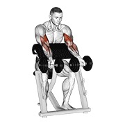 Zottman preacher curl con mancuerna