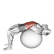 Stability ball crunch (full range hands behind head)