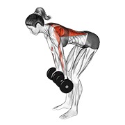 Inverso grip remo (female) con mancuerna