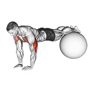 Narrow flexión on exercise ball