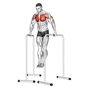 Wide-grip chest fondo on high parallel bars