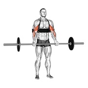 Curl de bíceps (with arm blaster) con barra