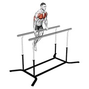 Chest fondo on straight bar