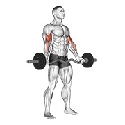 Ez-barbell de pie wide grip curl de bíceps