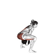 Sumo pull through con mancuerna
