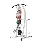 Con lastre close grip chin-up on fondo cage
