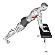 Inclinado scapula flexión