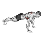 Scapula flexión