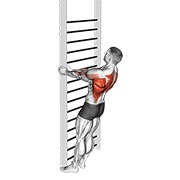 Bodyweight de pie close-grip remo
