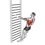 Bodyweight de pie one arm remo (with towel)