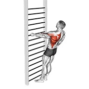 Bodyweight de pie one arm remo