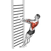Bodyweight de pie remo (with towel)