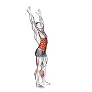 Side-to-side toe touch (male)