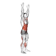 Arms apart circular toe touch (male)