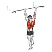Archer dominada
