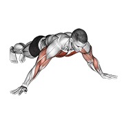 Archer flexión