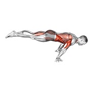 Full planche flexión