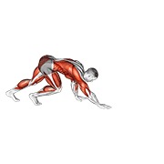 Bear crawl