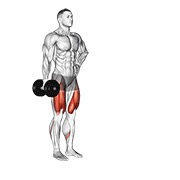 Contralateral forward zancada con mancuerna