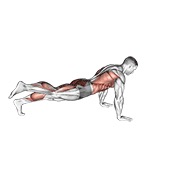 Power point plancha