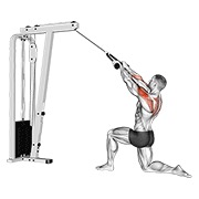 Kneeling posterior delt remo (with rope) (male) en polea
