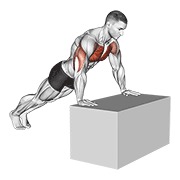 Inclinado flexión (on box)